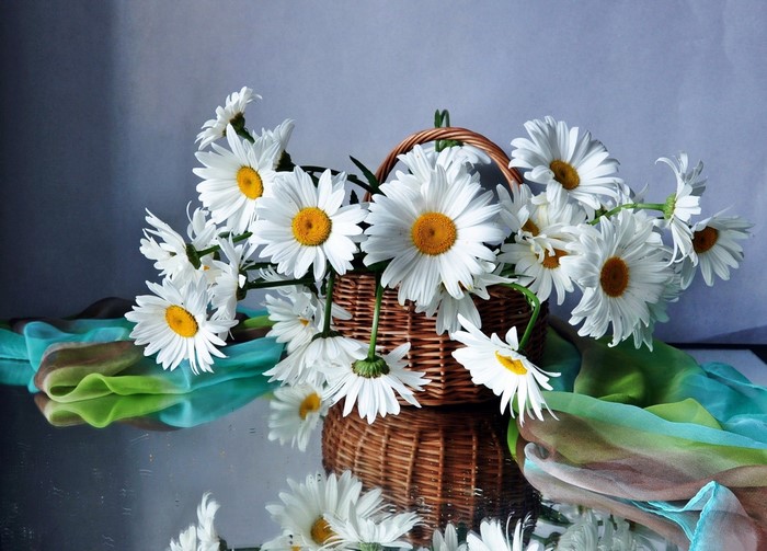 White daisies in a wicker basket with colorful scarf