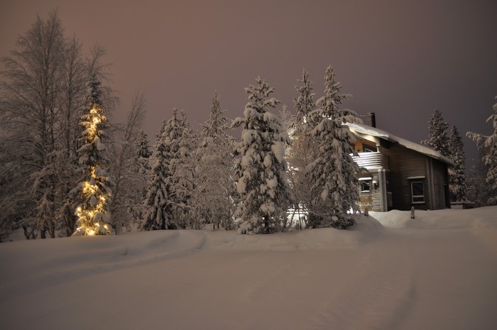 Snowy forest with a cabin and Christmas lights at night