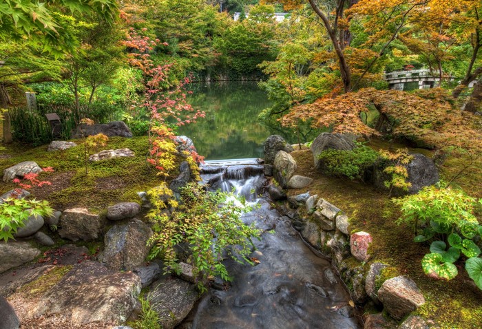 Japanese garden with a stream and autumn foliage