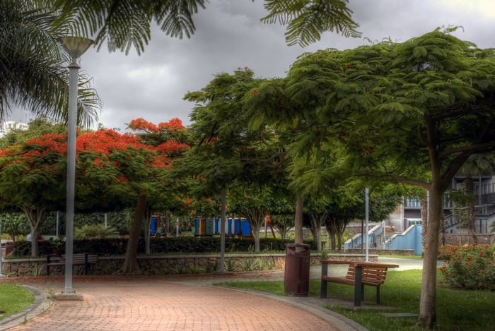 Park with trees, benches, and a lamppost