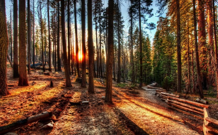 Sunset in Yosemite National Park, California