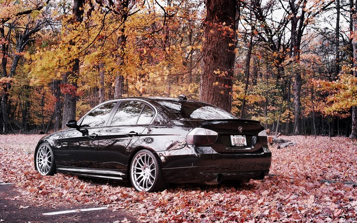 Black BMW sedan parked in autumn forest