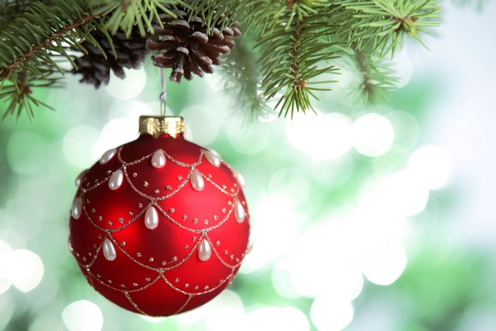 Red Christmas Ornament with Pine Cones and Branches
