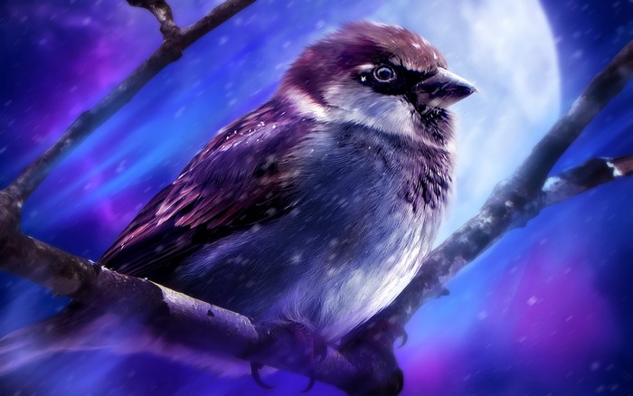 Sparrow perched on a branch at night