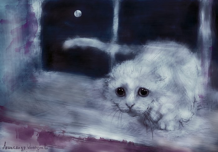 A white cat looks out a window at the moon