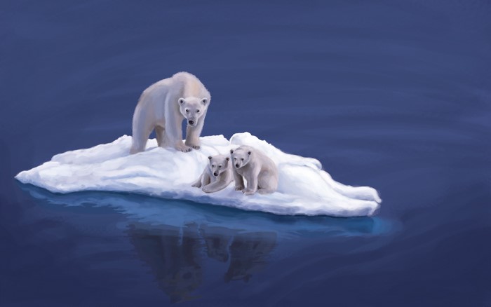 Polar bears on an ice floe