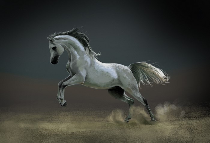 A white horse jumping in a desert