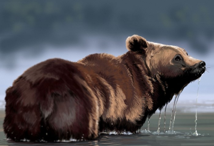 Brown bear standing in water