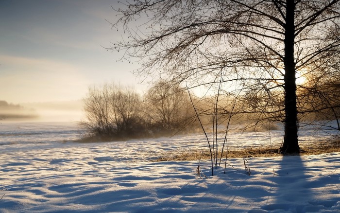 Winter landscape with snow and bare trees at sunrise