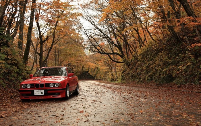 Red BMW on a road in autumn foliage