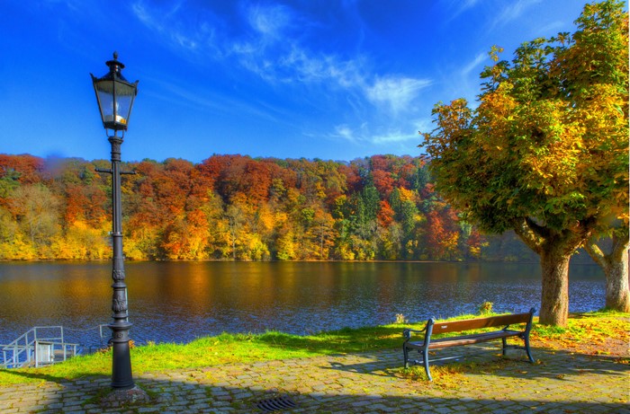 Autumn lake scene with a lamppost and bench in Germany