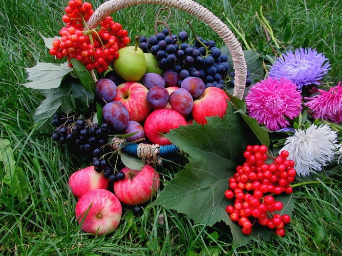 Still-life of fruit in a wicker basket on grass