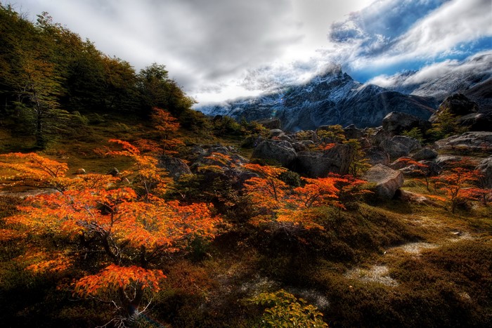 Autumn trees and rocky mountains under clouds