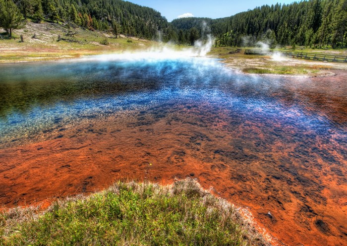Yellowstone National Park Hot Spring with Steam