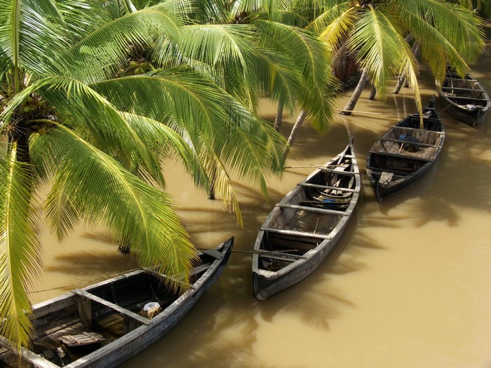 Boats moored in a tropical river under palm trees