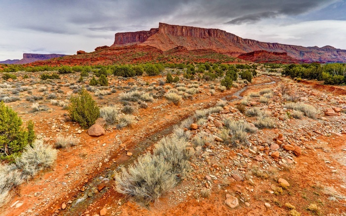 Desert landscape with red rock formations and sparse vegetation