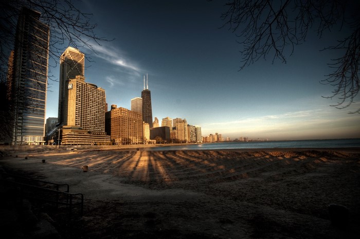 Chicago skyline with lakefront and bare branches