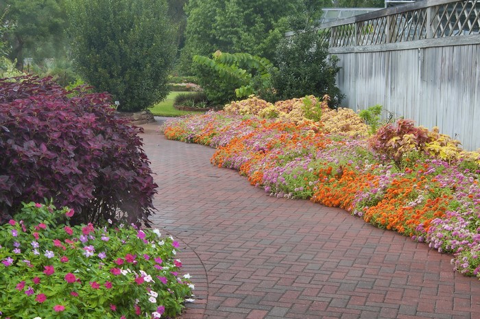 Garden path with colorful flowers and wooden fence