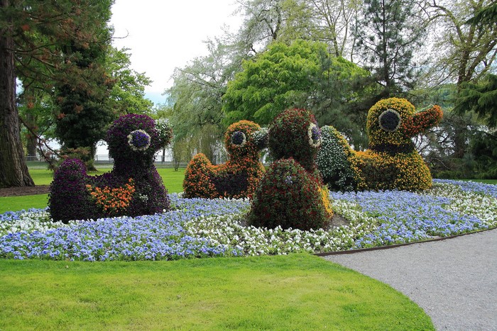 Topiary ducks in a garden with flowers
