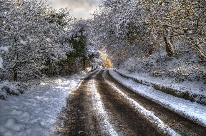 Snowy road winding through trees in winter