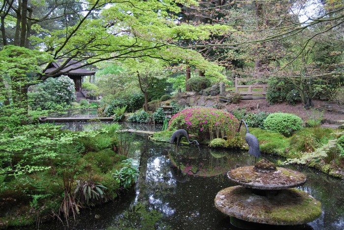 Japanese Garden with Pond and Pagoda