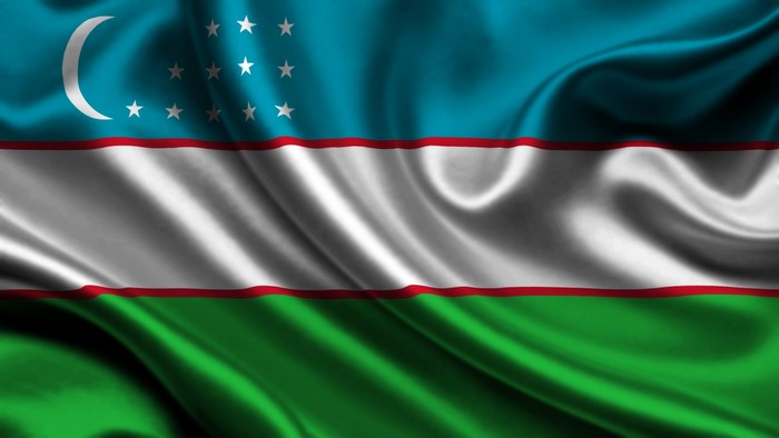Uzbekistan National Flag with Stripes