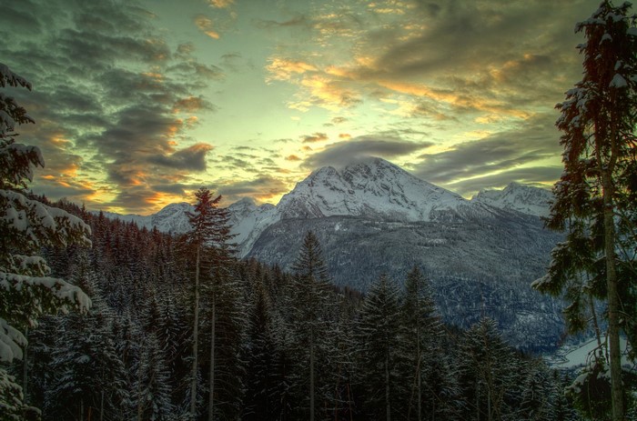 Snowy mountains and pine forest at sunset in Southern Bavaria, Germany