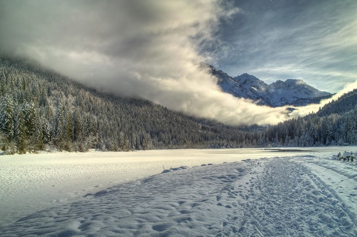 Snowy Mountains and Forest with Clouds