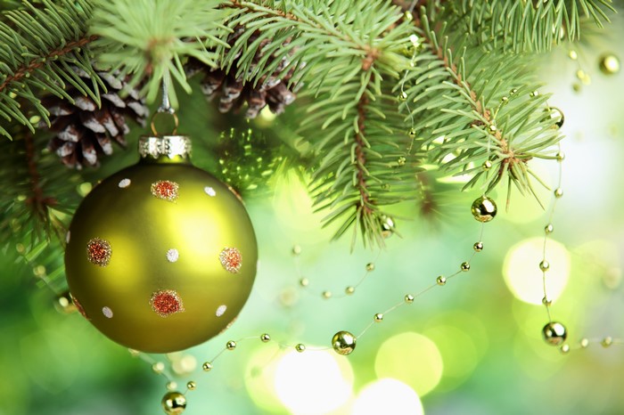 Christmas tree branch with ornament and pine cones