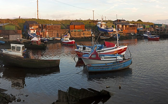 Boats docked in a harbor at sunset