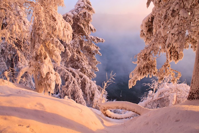 Winter scene with snow-covered trees and a misty body of water