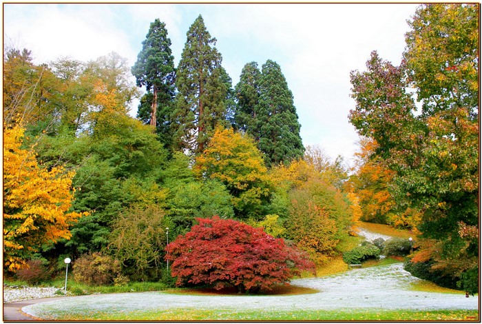 Autumn park with snow in Germany