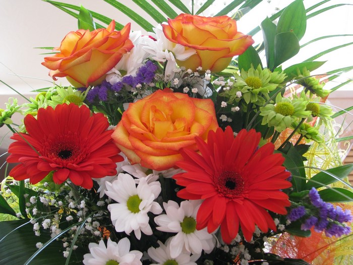 Bouquet of Roses, Gerberas, and Daisies