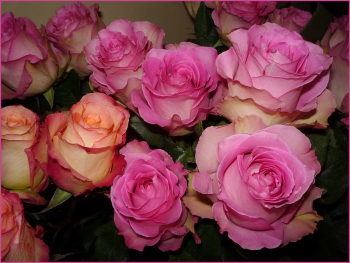 Pink and Peach Roses Bouquet