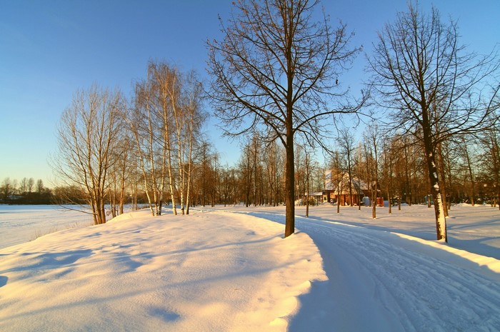 Winter park with snow-covered path and trees