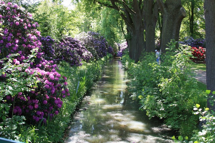 Park with a canal and blooming rhododendrons
