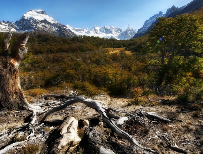 4K Mountains and Forest in Argentina