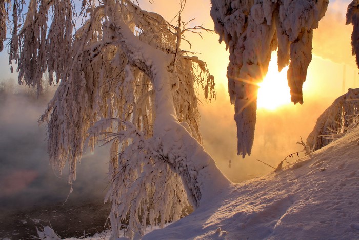 Snow-covered trees with sun rays over misty water