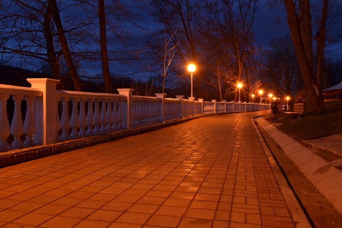 Park pathway with street lights at night