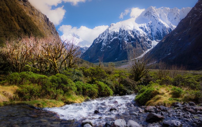 Snow-capped mountains and a river in a valley
