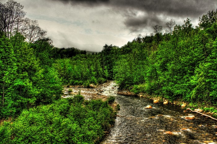 River flowing through a green forest in Bennington, Vermont