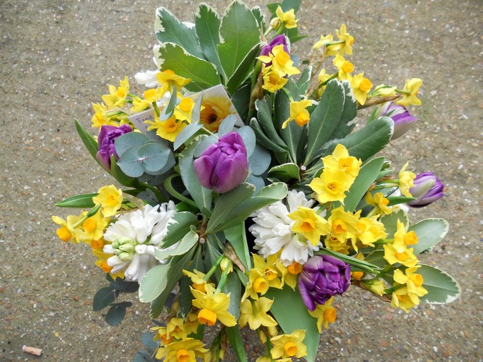 Bouquet of Daffodils, Tulips, and Hyacinths