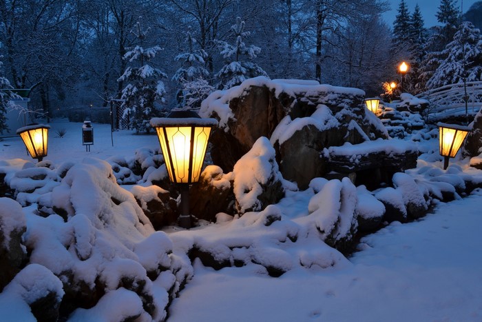 Snowy park at night with illuminated street lamps