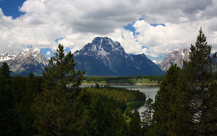 Grand Teton National Park Mountains and Forest