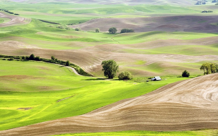 Rolling green and brown hills with a small barn