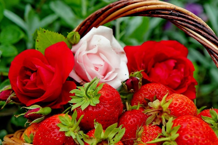 Strawberries and roses in a basket