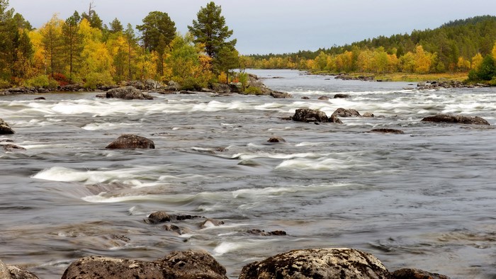 River rapids with autumn trees and rocks
