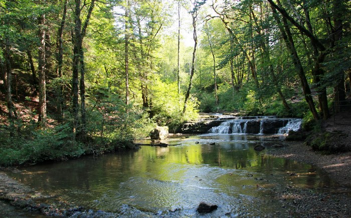 Forest stream with waterfalls in France
