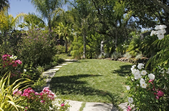 Garden with lawn, palm trees, and flowers