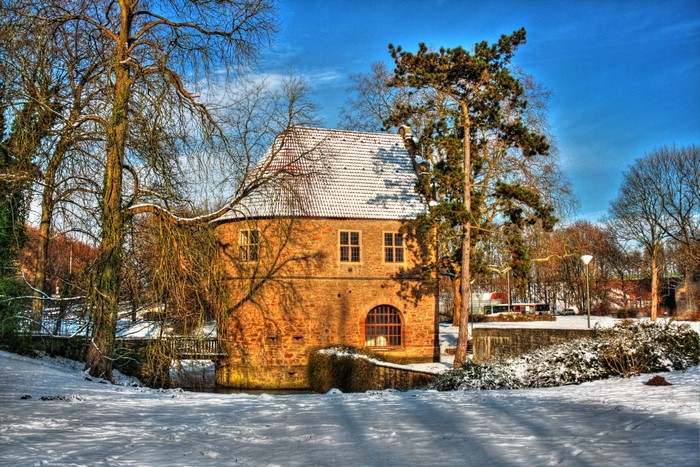 Winter scene at Rombergpark in Dortmund, Germany